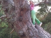 Florrie up the tree, Loch Morlich