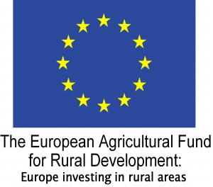 EU logo