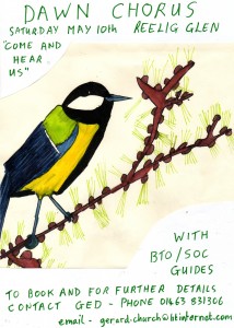 dawn chorus poster